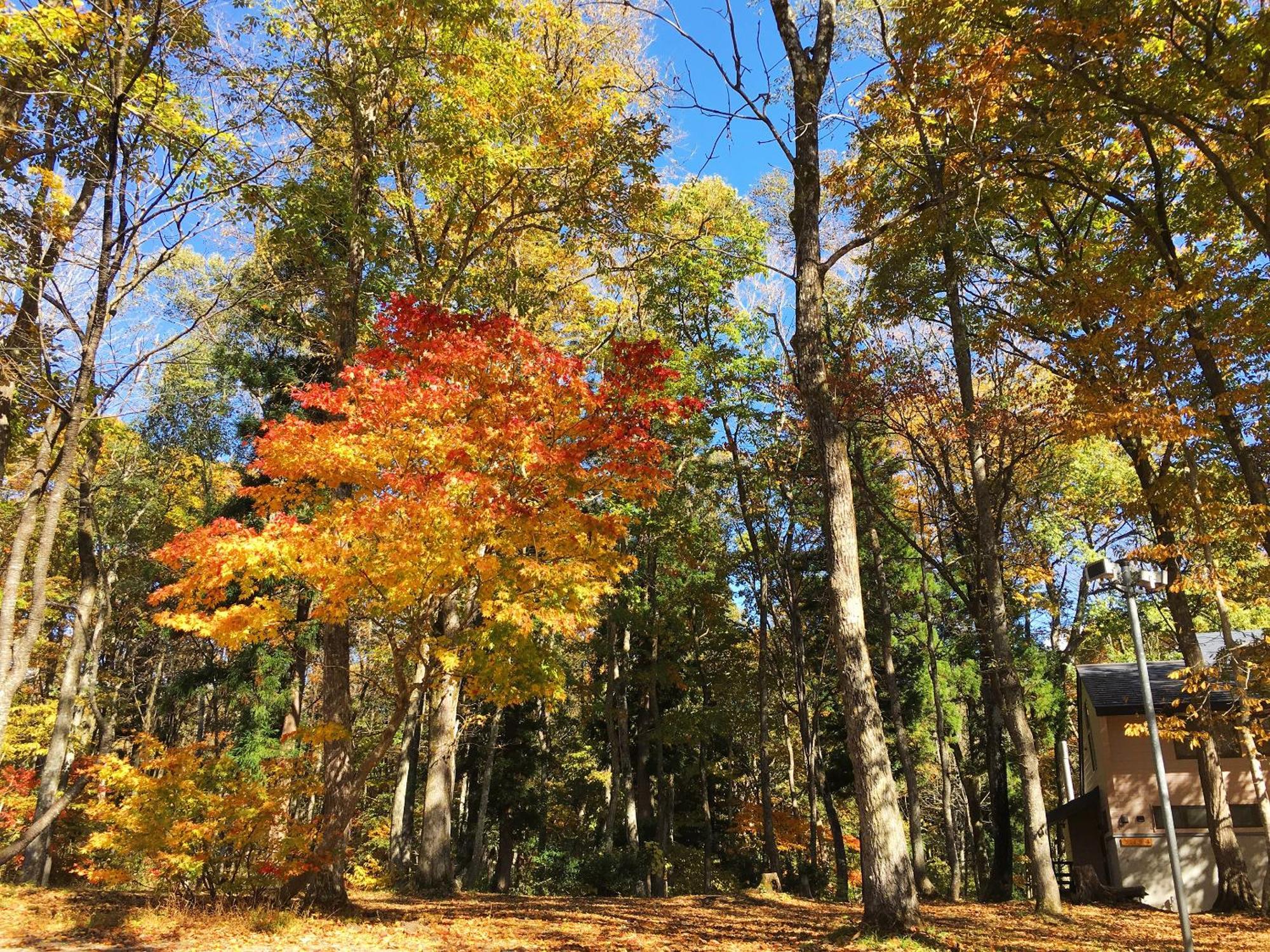 Вилла Labo Land Kurohime Shinano  Экстерьер фото