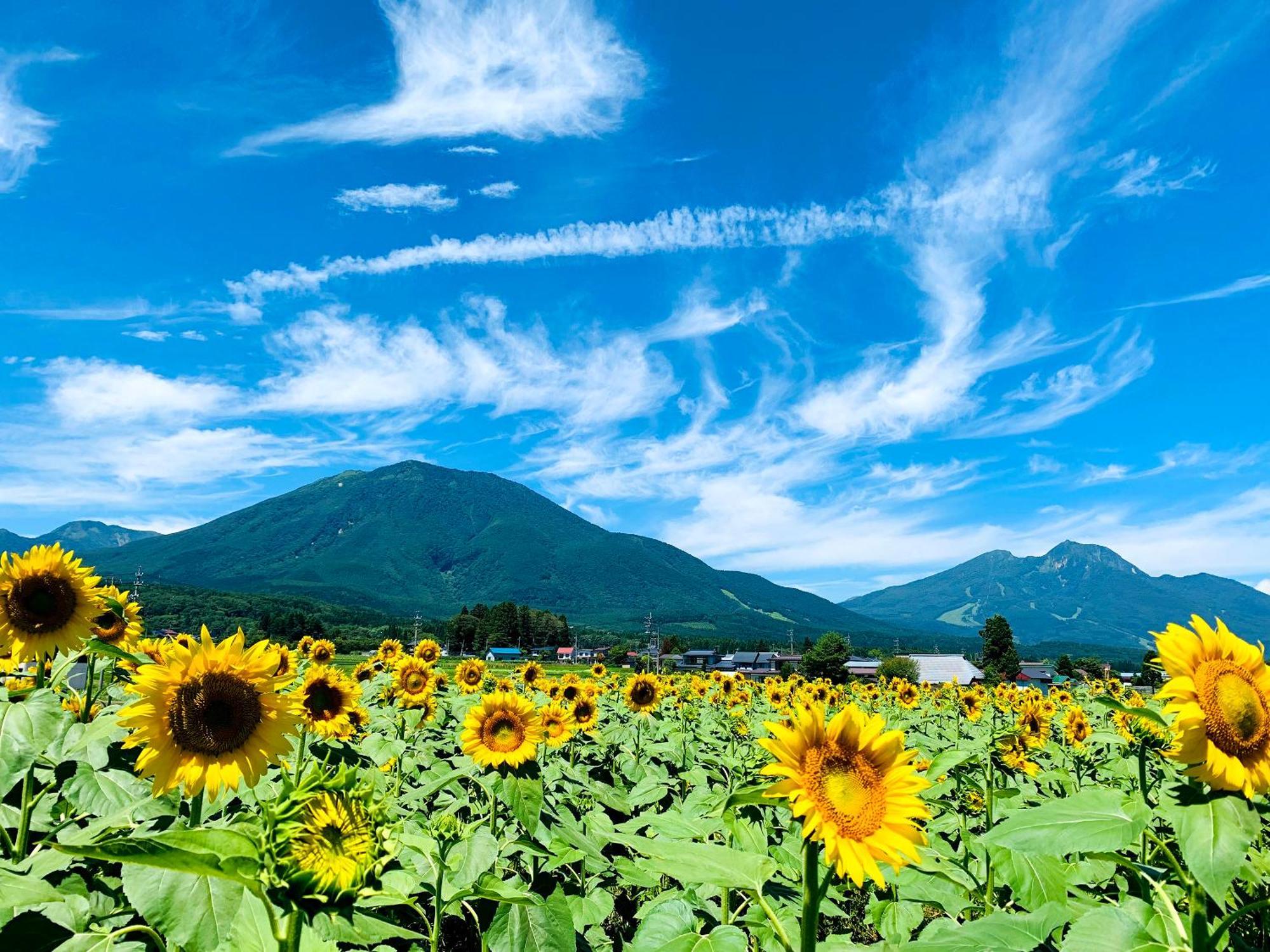 Вилла Labo Land Kurohime Shinano  Экстерьер фото